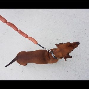 Hot dog leash!
